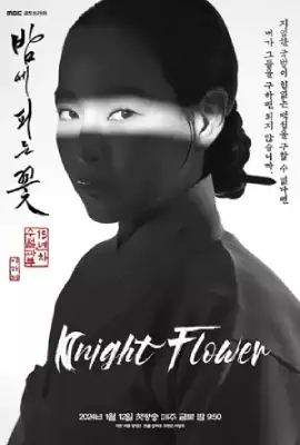 ดูซีรี่ย์ออนไลน์ฟรี Knight Flower (2024)